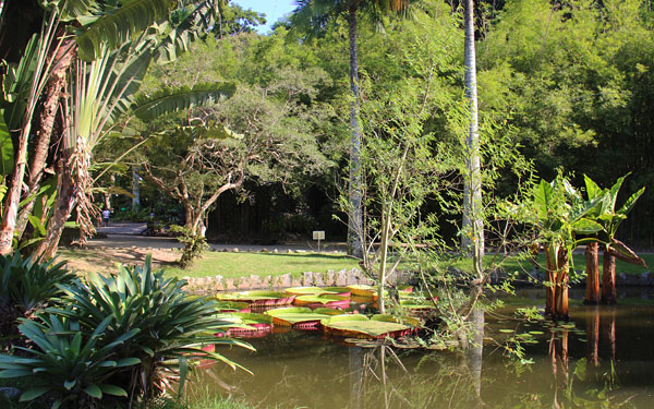 jardim-botanico